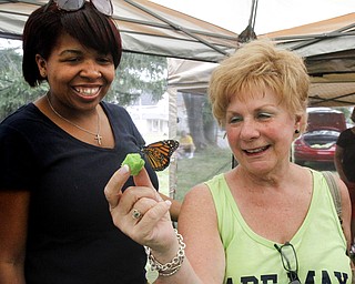 MADELYN P. HASTINGS | THE VINDICATOR


(L-R) Tenette White and Maggie Wellington admire and feed a butterfly at the butterfly festival at the South Side Community Garden on Saturday, July 20. The festival was funded by the Youngstown Neighborhood Development Corp. as part of the USDA People’s Garden grant. 