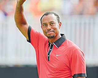 Tiger Woods — his win at the Bridgestone Invitational in Akron on Sunday fresh in his mind — arrived at Oak Hill ready to learn the greens and whatever necessary to win another major.
