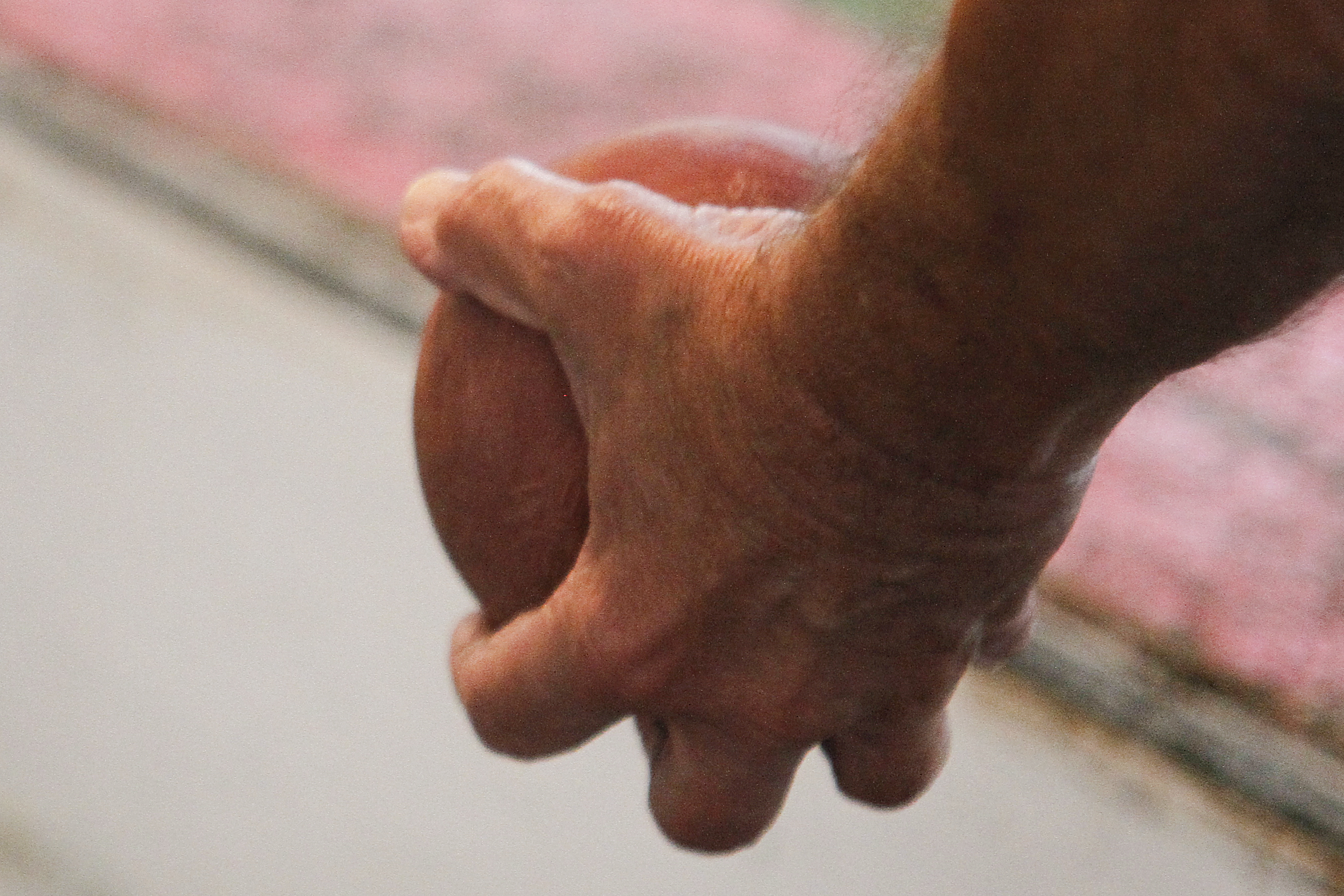 Photo detail