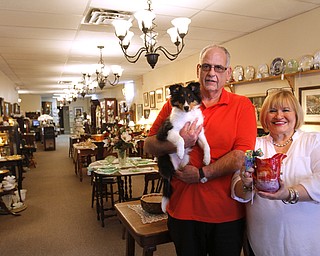 ROBERT K. YOSAY | THE VINDICATOR..Larry and Ann Canale and bella . have been running an antiques business for more than five years. Their operation started from a small house in Columbiana, but has since expanded to a storefront there with 6,000 square feet. A feature on their business and how theyÕve managed to grow.--AnnÕs Attic Antiques & Furniture, Columbiana.... - -30-..