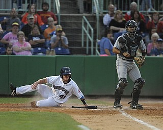 Scrappers base runner #49 Cody Ferrell slides into home plate to score a run in the top of the 4th inning behind Renegades catcher #24 Omar Narvaez during a game between the Scrappers and Renegades on August 10, 2013.
