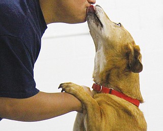 Stephanie Peterson, above, a humane agent with Humane Society of Columbiana County, gets a wet kiss from Sunshine, a 4-year-old bassett hound and Labrador retriever mix. The society will host an open house at the new Animal Resource Complex, 721 E. Pidgeon Road, Salem, a site for pet-related activities, services and resources.