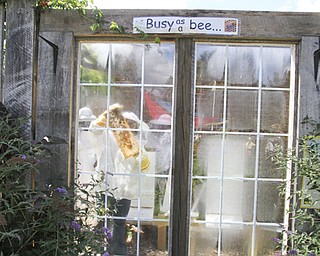 William D Lewis The Vindicator Lori Mowad, Mill Creek Park Fellows riverside garden employee inspects bees before . The hives are kept behind a glass door to keep bees and spectators safe.