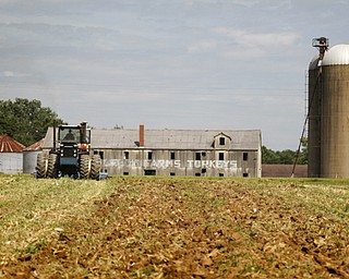 MADELYN P. HASTINGS | THE VINDICATOR..Anguilis Farm Market in Canfield on August 6, 2013..... - -30-..