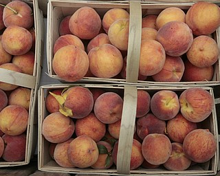 ROBERT K. YOSAY | THE VINDICATOR..Peaches in baskets as they didnt get as dark but are still very fresh, and flavorful ..Huffmans fruit farm is faring pretty good with a wetter june and cooler july and august - crops are slow but seem to be on target .. - -30-..