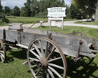ROBERT K. YOSAY | THE VINDICATOR..Huffmans fruit farm is faring pretty good with a wetter june and cooler july and august - crops are slow but seem to be on target .. - -30-..