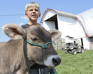 William D. Lewis The Vindicator Colby Turon, 9, with a calf on his family's West Farmington Farm.