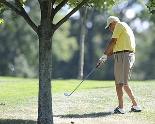 Golfer Bob Lidle of Poland shoots out of the short rough and onto the fairway on the 14th hole Saturday afternoon at The Lake Club as part of the Vindy Greatest Golfer tournament on August 24.