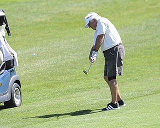 Golfer Tom KinKek of Boardman chips from the fairway to the green on the 14th hole Saturday afternoon at The Lake Club as part of the Vindy Greatest Golfer tournament on August 24.