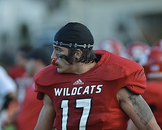 Wildcat 17