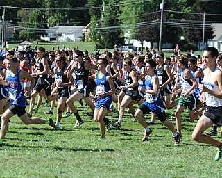 Runners starts from the starting line at the beginning of the Boys Division 2 race on Saturday September 14, 2013 at Boardman High School.