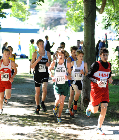 Runners taking part of the Boys Division 2 race run in the woods on Saturday September 14, 2013 at Boardman High School.