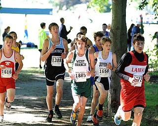 Runners taking part of the Boys Division 2 race run in the woods on Saturday September 14, 2013 at Boardman High School.