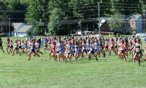 Runners starts from the starting line at the beginning of the Girls Division 2 race on Saturday September 14, 2013 at Boardman High School.