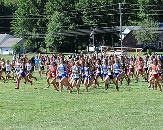 Runners starts from the starting line at the beginning of the Girls Division 2 race on Saturday September 14, 2013 at Boardman High School.