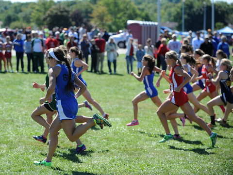 Runners starts from the starting line at the beginning of the Girls Division 2 race on Saturday September 14, 2013 at Boardman High School.