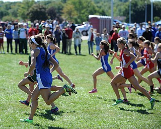 Runners starts from the starting line at the beginning of the Girls Division 2 race on Saturday September 14, 2013 at Boardman High School.
