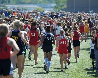Runners sprint down the back stretch during the Girls Division 2 race on Saturday September 14, 2013 at Boardman High School.