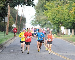 Runners taking part in the half marathon run down McCollum Road early early Sunday morning as part of the Green Cathedral race on September 15, 2013.