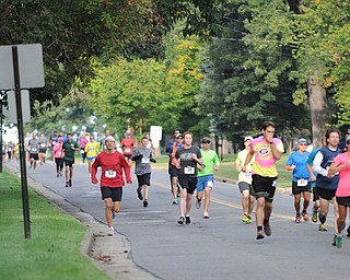 Runners taking part in the half marathon run down McCollum Road early Sunday morning as part of the Green Cathedral race on September 15, 2013.