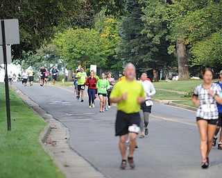 Runners taking part in the half marathon run down McCollum Road early Sunday morning as part of the Green Cathedral race on September 15, 2013.