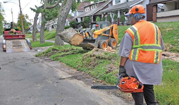 Youngstown’s park and recreation department workers, including Jason Mauldin, with a chain saw, cut apart and remove a fallen tree from the devil strip in front of an East Lucius Avenue house on the city’s South Side. The city department can cut down damaged or dying trees on the devil’s strip at no cost to homeowners.