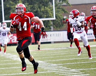 MADELYN P. HASTINGS | THE VINDICATOR..YSU's Nate Adams (44) runs to score a touchdown during their game against Duquesne at Stambaugh Stadium on Saturday, September 21. .... - -30-..