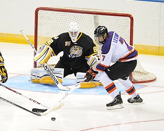 Phantoms #7 Maxim Letunov plays the puck in front of Green Bay goalie #82 Jared Rutledge during the 3rd period of Friday nights game.