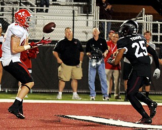 Youngstown State's Carson Sharbaugh brings in a game-tying touchdown against Southern Illinois' Chris Davis pass late in the fourth-quarter during the Salukis' 28-27 loss to the Penguins at Saluki Stadium on Saturday, Sept. 28, 2013, in Carbondale, Ill. (Paul Newton / The Southern)