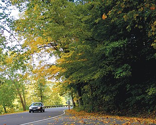 Mill Creek Metro-Parks visitors this year are seeing foliage that actually is more in line with the typical color change schedule than in the past two years.