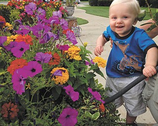 Logan Cheney of Liberty enjoying the colorful flowers. Sent by his parents Jason and Amanda.