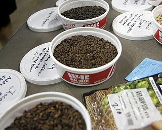 MADELYN P. HASTINGS | THE VINDICATOR..The PumpHouse Homebrew Shop based out of Struthers offered several types of brewing products for guests to taste at the Beer Fest at the Covelli Center on Saturday, October 5, 2013. ... - -30-..