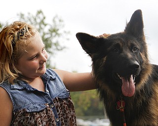 MADELYN P. HASTINGS | THE VINDICATOR..Kylee Vidas, 10 of Howland, pets the one year old longhaired straight back german shepherd named Ekko at the 'Sit Means Sit' dog training booth set up at the Fall Festival at Stevens Park in Niles on Saturday, October 5, 2013. ... - -30-..