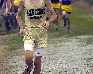 Kelli Cardinal/The Vindicator .Anthony Golen, a sophomore from Lakeview, keeps his pace Saturday while competing in the boys and girls Division I open race during the Legends Cross Country Meet at Trumbull County Fairgrounds.