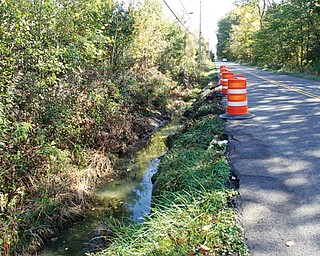 An Austintown school bus went off the road into this ditch, and landed on its side on New Road between Cider Mill Crossing and Herons Boulevard.