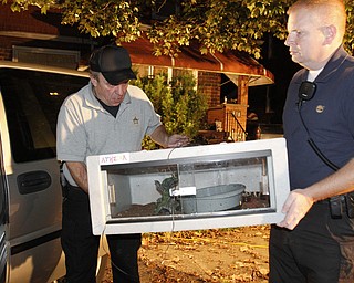 ROBERT K. YOSAY | THE VINDICATOR..over 150 snakes some venomous were discovered at a house - 438 Fifth st in struthers this afternoon.. Mahoning County Dog Warden and Det. Jeff Lewis Stuthers PD.. moved the animals to a car that will be taken to Kentucky ( poisonus ones) and Cleveland ( non Venoumous ) - The owner was charged with several charges .. - -30-..