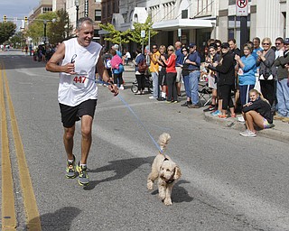 . ROBERT K. YOSAY | THE VINDICATOR..Running partner.. well at least the last couple of blocks Milo... escorted his owner Tim Green of McDonald down Federal Street to the finish line..The 39th Annual Peace Race - with over 2000 runners on a beautiful October day