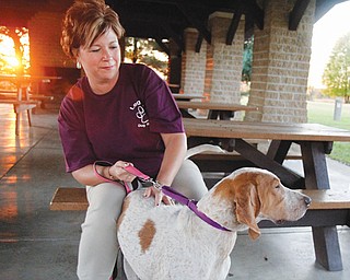 Paula Cipriano, a volunteer with Legacy Dog Rescue of Ohio, sits with Daisy, a year old English coon hound,
in Pogany Pavilion at Austintown Park, where the organization will host Bow-Wow-Ween on Oct. 26. Daisy is among dogs available for adoption through Legacy.