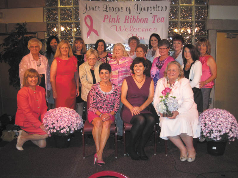 SPECIAL TO THE VINDICATOR
Those involved with the 19th Annual Pink Ribbon Tea are, from left in the first row, Suzanne Fleming, Annette Camacci, Jennie Nash and Sue Berny. In the second row are Barb Schuller, Katy Shroder, Linda Sisek, Carolyn Stoneburner, Toni Douglass, Susan Stewart and Anne Marie Newman; and in the third row are Sue Trebilcock, Paula Stefanski, Mary Alice Boyd, Rae Lackner, Leah Wilson, Pat Butto and Karen Thomas. The annual event celebrates the survival of women diagnosed with breast cancer.
