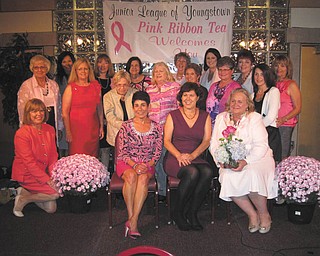 SPECIAL TO THE VINDICATOR
Those involved with the 19th Annual Pink Ribbon Tea are, from left in the first row, Suzanne Fleming, Annette Camacci, Jennie Nash and Sue Berny. In the second row are Barb Schuller, Katy Shroder, Linda Sisek, Carolyn Stoneburner, Toni Douglass, Susan Stewart and Anne Marie Newman; and in the third row are Sue Trebilcock, Paula Stefanski, Mary Alice Boyd, Rae Lackner, Leah Wilson, Pat Butto and Karen Thomas. The annual event celebrates the survival of women diagnosed with breast cancer.