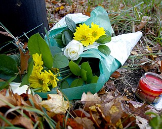 MADELYN P. HASTINGS | THE VINDICATOR..Flowers are placed at the site of a two vehicle car accident along Connelly Blvd. near the intersection of Route 62. The accident caused three deaths with four others injured at around 10:00 p.m. on Friday, November 10, 2013. ... - -30-..