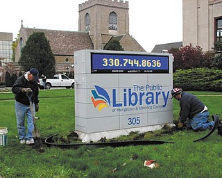 SPECIAL TO THE VINDICATOR
Men’s Garden Club of Youngstown members Ted Vagas, John Kolar, Mason Carratt and Bob Stas planted tulips and roses along Wick Avenue on a recent fall day as part of the club’s ongoing civic projects.