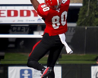 MADELYN P. HASTINGS | THE VINDICATOR..YSU's Andrew Williams (80) catches the ball during their game against NDSU at Stambaugh Stadium on November 16, 2013. The Penguins lost to Bisons 17-35.... - -30-..