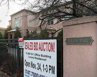 Penguin Place, which was the home of former Youngstown State University President Les Cochran and his wife, Lin, is going up for auction. The two-story, 11,400-square-foot building includes office space with an area on the second floor that could be used as a residence.