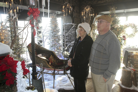 William D Lewis  the vindicator. Barb and George Gulgas of Liberty take in the sights Saturday 12-28-13 during a tour of the Arms Family Museum in Youngstown.