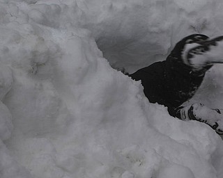 Another view of Ben enjoying the snow tunnels.