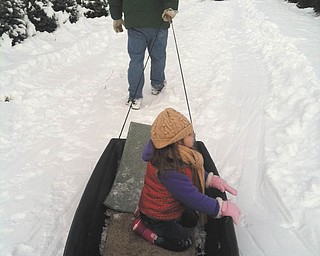 Sophia Testa, 2 1/2, of Boardman searches for the family Christmas tree. Submitted by her mom, Sophia Testa.