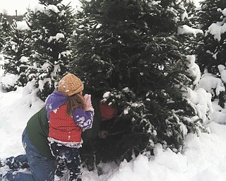 Sophia Sicilia Testa picked out the perfect family tree with her Dadda.