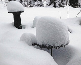 John Sbandi sent proof of the Feb. 2, 2010, snowfall.
