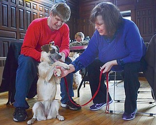 Rosie practices a handshake with her owners, Kriss and Janet Schueller of Boardman, during the Tricks with Your Dog program Sunday at Pioneer Pavilion in Mill Creek MetroParks.